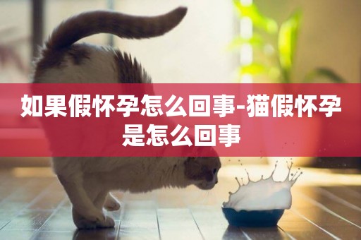 如果假懷孕怎么回事-貓假懷孕是怎么回事