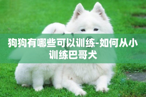 狗狗有哪些可以訓練-如何從小訓練巴哥犬