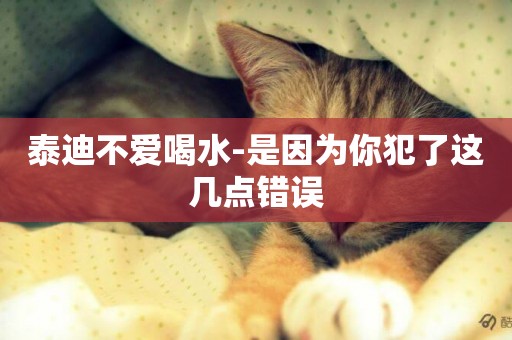 泰迪不愛喝水-是因為你犯了這幾點錯誤