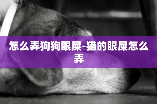 怎么弄狗狗眼屎-貓的眼屎怎么弄