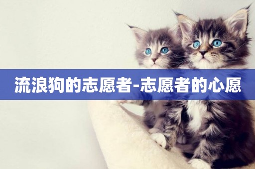 流浪狗的志愿者-志愿者的心愿