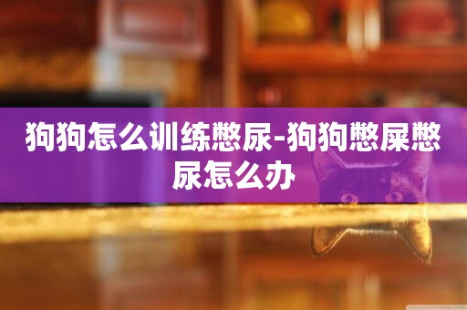 狗狗怎么訓練憋尿-狗狗憋屎憋尿怎么辦