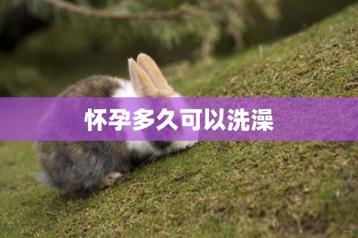 懷孕多久可以洗澡