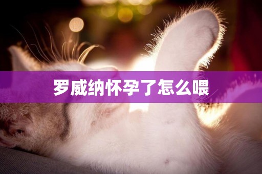 羅威納懷孕了怎么喂