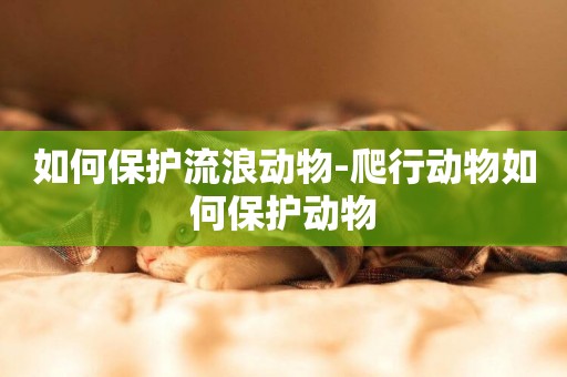 如何保護流浪動物-爬行動物如何保護動物