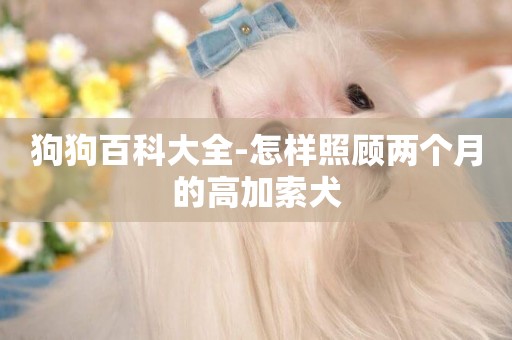 狗狗百科大全-怎樣照顧兩個月的高加索犬