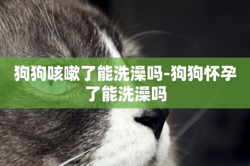 狗狗咳嗽了能洗澡嗎-狗狗懷孕了能洗澡嗎