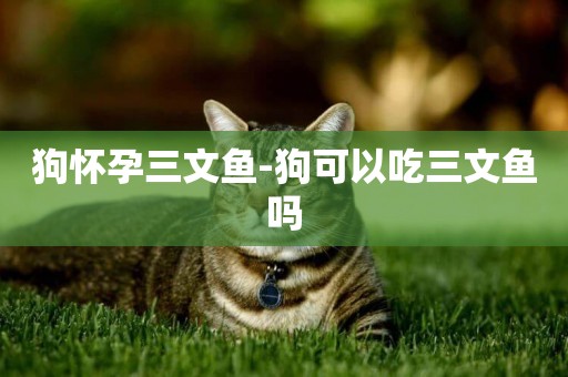 狗懷孕三文魚-狗可以吃三文魚嗎