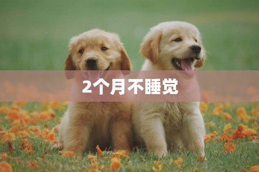2個月不睡覺