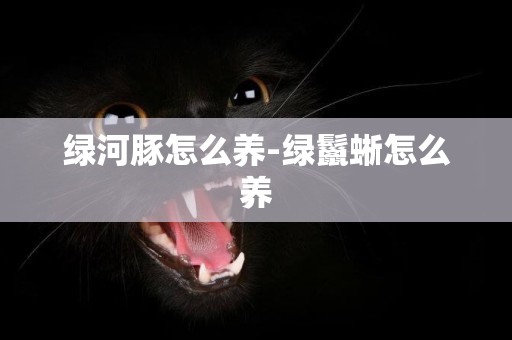 綠河豚怎么養-綠鬣蜥怎么養