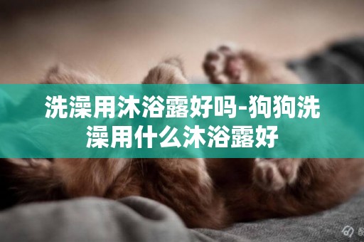 洗澡用沐浴露好嗎-狗狗洗澡用什么沐浴露好
