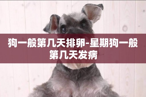 狗一般第幾天排卵-星期狗一般第幾天發病