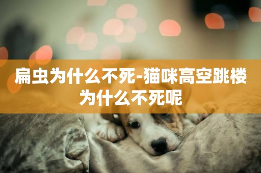 扁蟲為什么不死-貓咪高空跳樓為什么不死呢