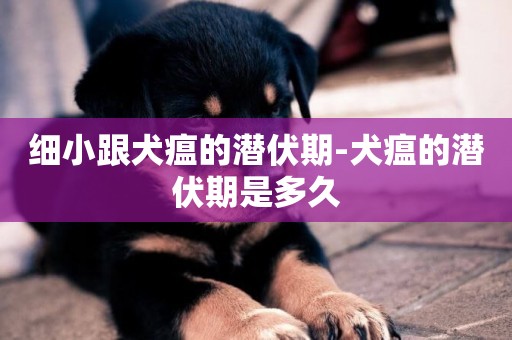 細小跟犬瘟的潛伏期-犬瘟的潛伏期是多久