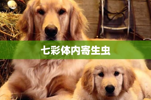 七彩體內寄生蟲