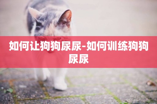 如何讓狗狗尿尿-如何訓練狗狗尿尿
