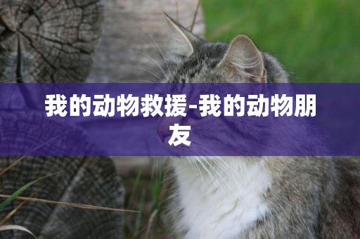 我的動物救援-我的動物朋友