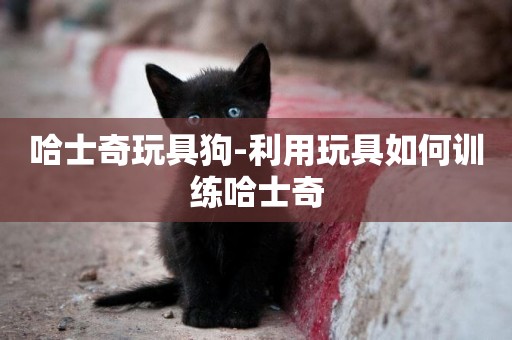 哈士奇玩具狗-利用玩具如何訓練哈士奇