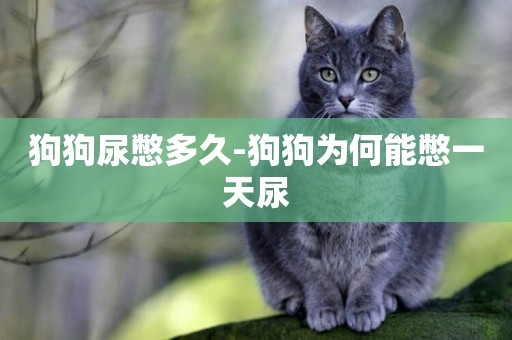 狗狗尿憋多久-狗狗為何能憋一天尿