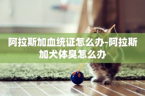 阿拉斯加血統證怎么辦-阿拉斯加犬體臭怎么辦