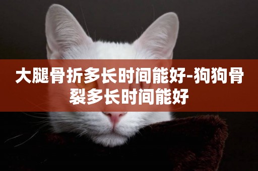 大腿骨折多長時間能好-狗狗骨裂多長時間能好