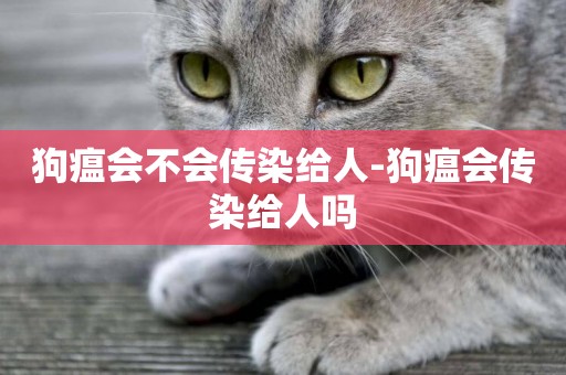 狗瘟會不會傳染給人-狗瘟會傳染給人嗎