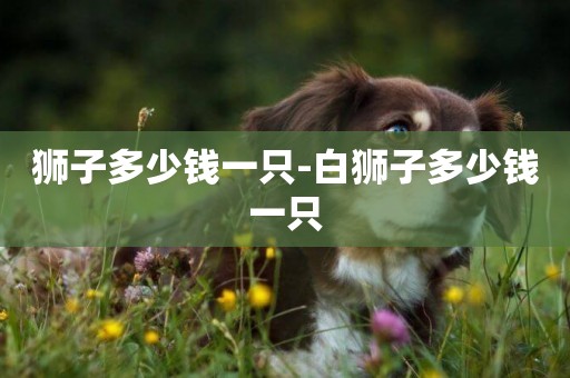 獅子多少錢一只-白獅子多少錢一只