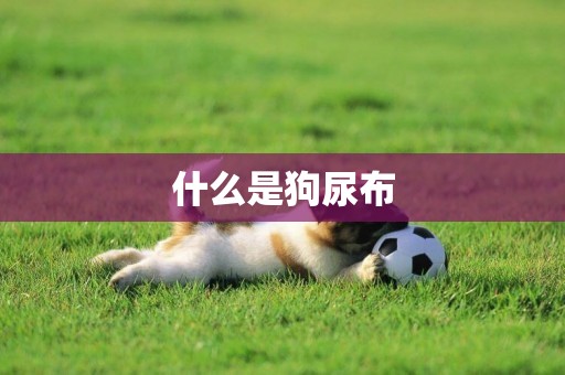什么是狗尿布
