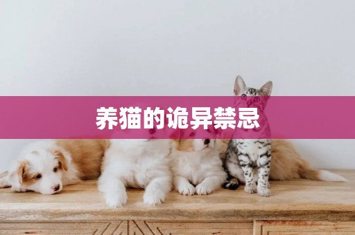 養貓的詭異禁忌