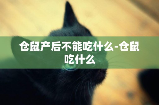 倉鼠產后不能吃什么-倉鼠吃什么