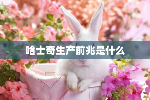 哈士奇生產前兆是什么
