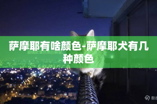 薩摩耶有啥顏色-薩摩耶犬有幾種顏色