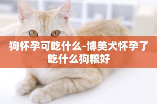 狗懷孕可吃什么-博美犬懷孕了吃什么狗糧好