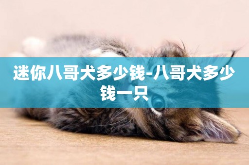迷你八哥犬多少錢-八哥犬多少錢一只