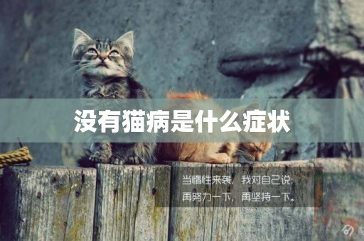 沒有貓病是什么癥狀