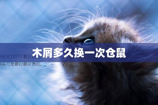 木屑多久換一次倉鼠