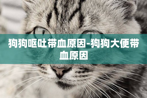 狗狗嘔吐帶血原因-狗狗大便帶血原因