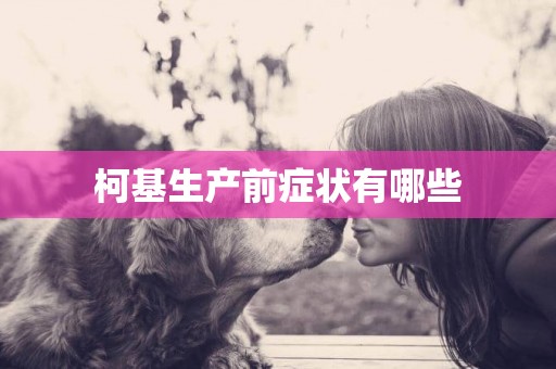 柯基生產前癥狀有哪些