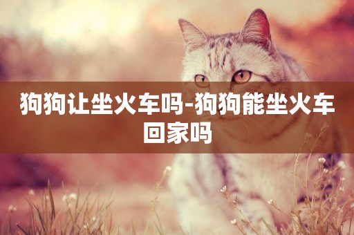 狗狗讓坐火車嗎-狗狗能坐火車回家嗎