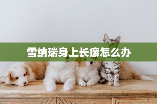 雪納瑞身上長癬怎么辦