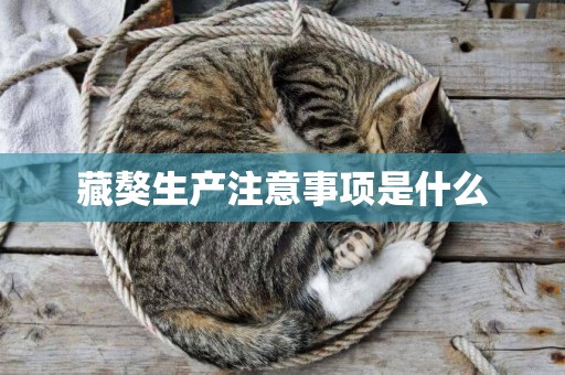 藏獒生產注意事項是什么