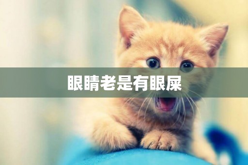 眼睛老是有眼屎