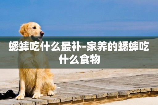 蟋蟀吃什么最補-家養的蟋蟀吃什么食物