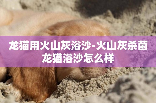 龍貓用火山灰浴沙-火山灰殺菌龍貓浴沙怎么樣