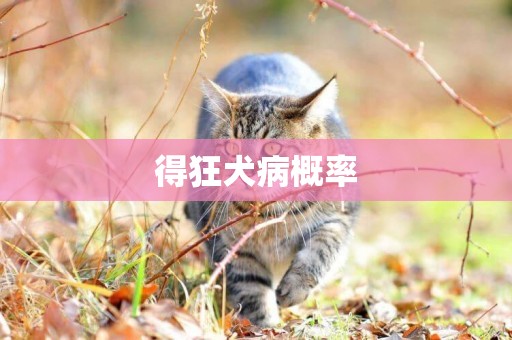 得狂犬病概率