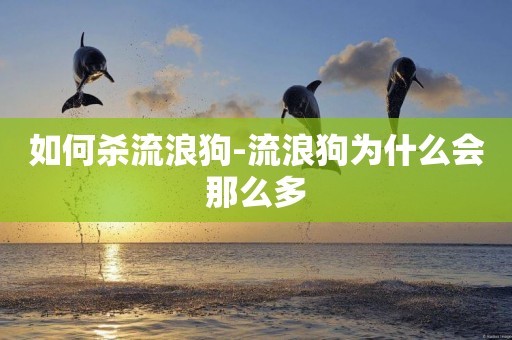 如何殺流浪狗-流浪狗為什么會那么多