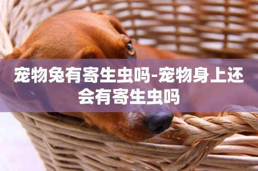 寵物兔有寄生蟲嗎-寵物身上還會有寄生蟲嗎