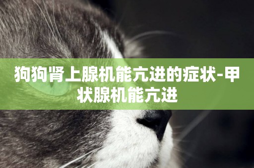 狗狗腎上腺機能亢進的癥狀-甲狀腺機能亢進