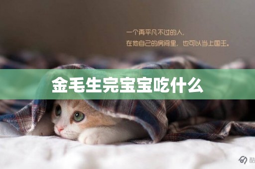 金毛生完寶寶吃什么