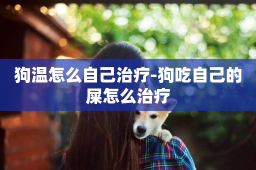 狗溫怎么自己治療-狗吃自己的屎怎么治療